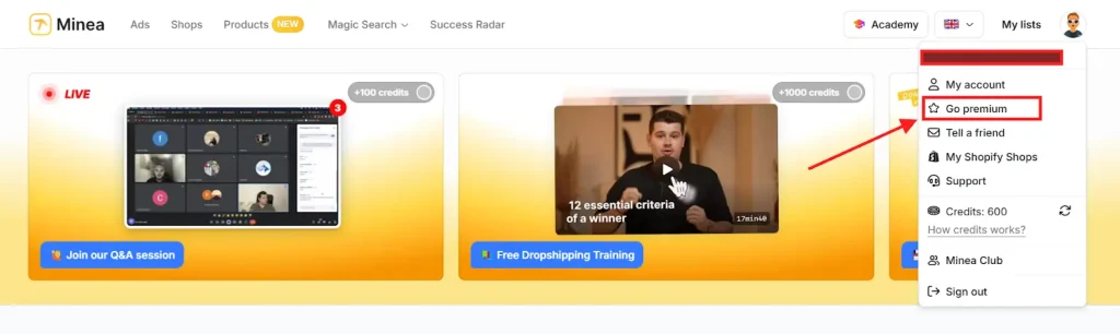Minea Payment Option